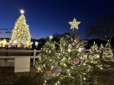 2022年クリスマス　ワシントンの旅