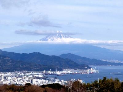 日本平で富士山見ながらお茶したい♪ついでに久能山東照宮にも。