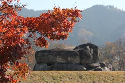 いまなら。キャンペーンありがとう　飛鳥編