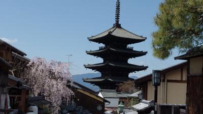 353 コロナ後久しぶりの東山散策