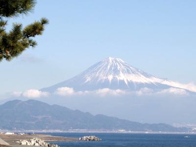 三保の松原から富士山、それからレッサーパンダに会いに日本平動物園へ