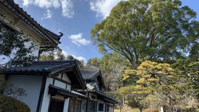 初めての愛媛県　内子と道後温泉