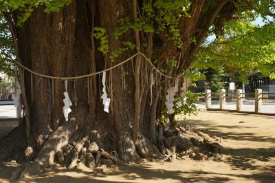 千葉旅行記～2022 市川市編～