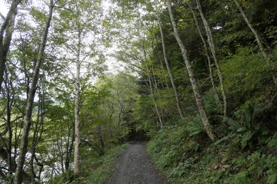 秋の上高地旅♪　Vol.73 ☆上高地ハイキング：明神池から徳沢へ♪