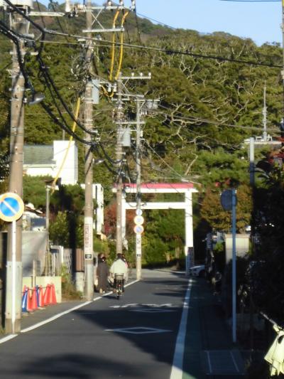 鎌倉駅北東部を歩きました