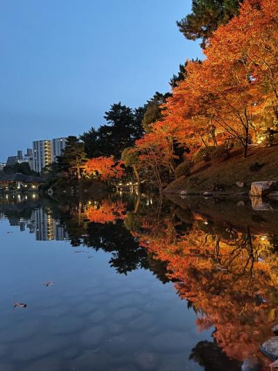 やっぱ広島～美しかった縮景園(2022.11.27)～