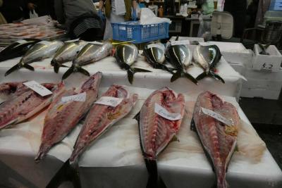 年末の熊本地方卸売市場、仲卸鮮魚売場が熱い！＠2022~2023年年末年始も天草で過ごす【4】