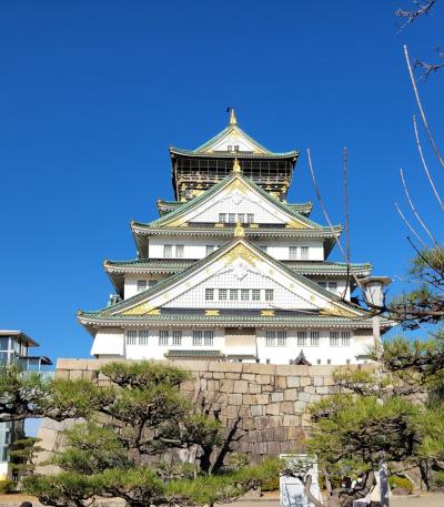 初めての大阪城