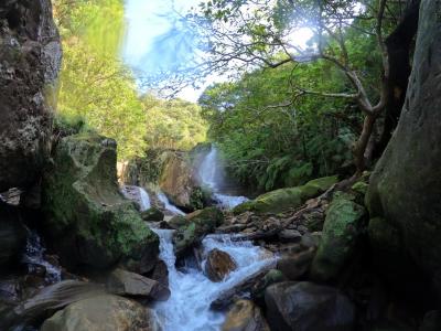 冬の西表島4泊5日 由布島、ナーラの滝、カヤック、ウミガメ