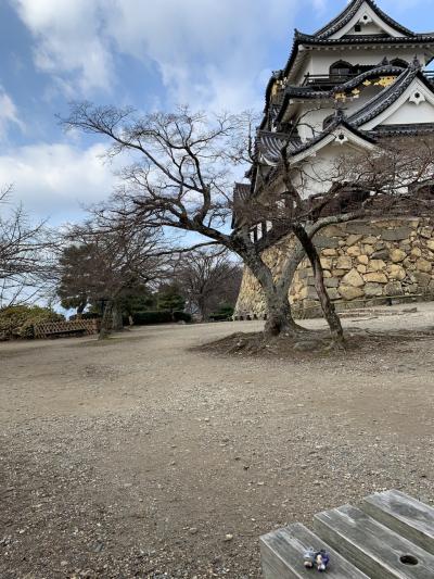 元旦の彦根城と京都をサクッと1泊2日で巡ってきた記録①彦根城と京都駅周辺