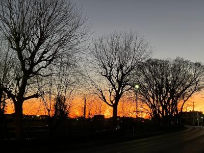 恵方のお札を頂きに行って来ました！