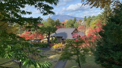 3度目の青森で津軽と弘前に