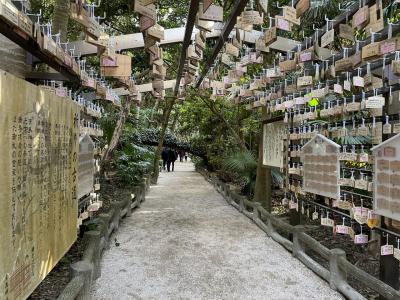 宮崎観光その１　パワースポット『青島神社』と美味しい海鮮丼。かわいい『富土のトトロ』にも会えました