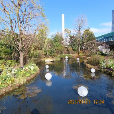 久し振りに池袋西武百貨店にある食と緑の空中庭園を訪問しました①睡蓮の庭