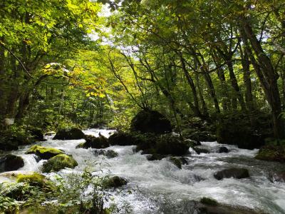 星野リゾート奥入瀬渓流ホテル　２日目~奥入瀬渓谷散策