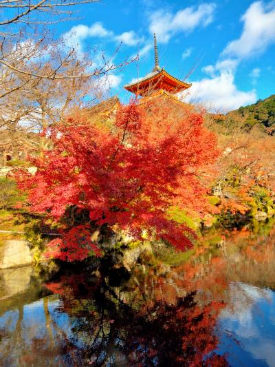 終わる秋を追いかけて・・紅燃ゆる古都へ＊～醍醐寺と東山界隈～＊