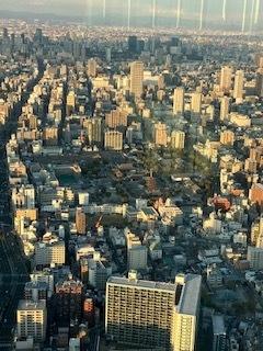 橿原神宮と天王寺で時間調整