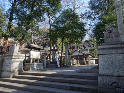 うさぎ年だからうさぎ神社詣で ￣(=∵=)￣