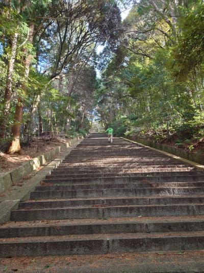 関西遠征でも登りたい病【その１京都編】