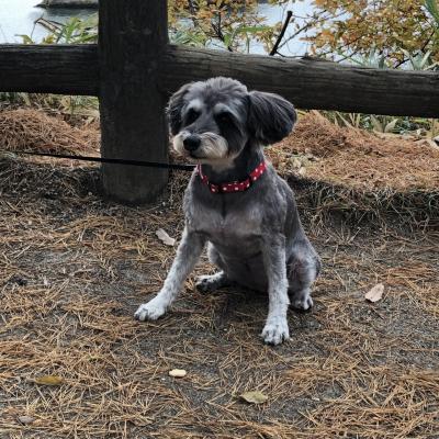 親孝行・犬孝行の旅～仙台編～