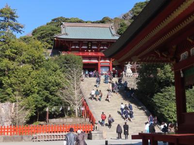 晴れおじさん「大人の休日」オトナ旅 (その１１)