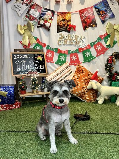 親孝行・犬孝行の旅～ゆとりろ蓼科ホテル編～
