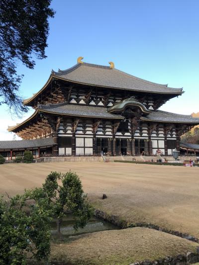 奈良、吉野山、京都