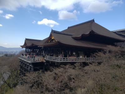 母・弟と行く冬の清水寺～平日だと、ゆっくりお参りできました(*^^)v