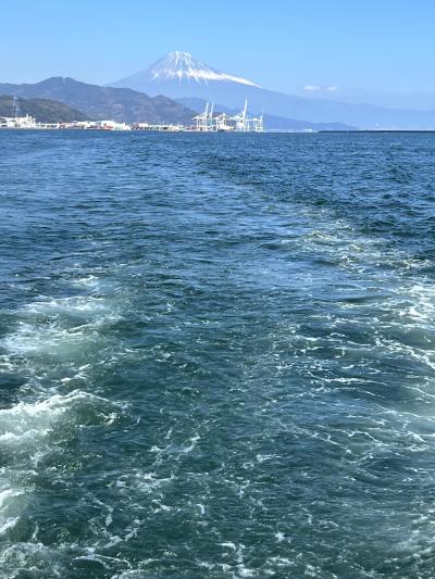 年明けは富士山と駿河湾 (3) … 三保の松原・羽衣ライン水上バスで港内巡り