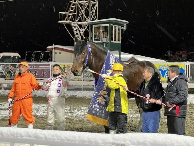 涙のイレネー記念