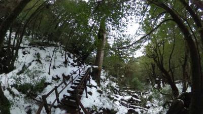 ぶらり島旅(国内編):屋久島は2016年も寒気が流入し、屋久杉ランドから先は雪のために通行止めだった