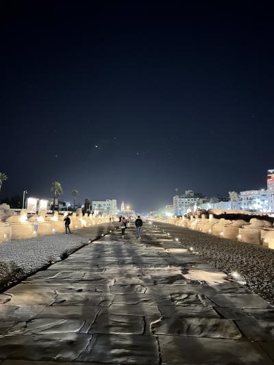 2023年1月エジプト世界遺産とナイル川クルーズの旅 その3 ルクソールへ