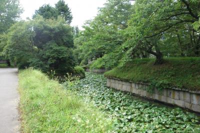 佐久の竜岡城、再び