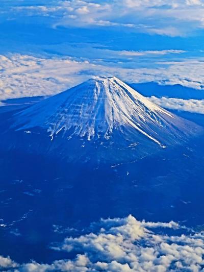 富士山！冠雪南面　JAL261便～空撮　☆離陸10分後-南アルプス連峰-三河湾残照