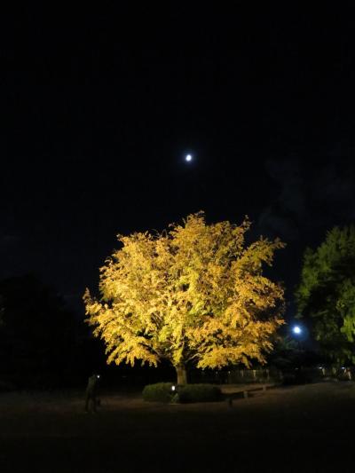 秋の夜散歩 ｉｎ 昭和記念公園♪～２０２２～