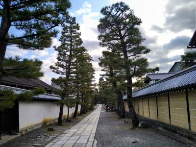 京の冬の旅２０２３年を楽しむおばちゃん旅① ~妙心寺～