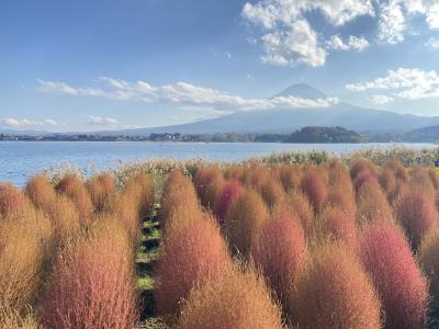 河口湖紅葉祭りと東京散歩2