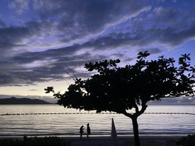 冬の石垣島でワーケーション!(でも観光も満載)