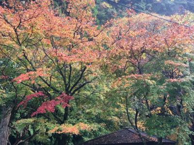 秋の高千穂観光～２日目