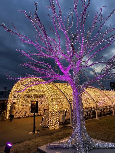  東京メガイルミ・大井競馬場イルミネーション