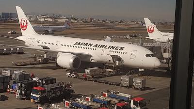 2023年プレミア防衛戦☆伊丹タッチB787に乗る