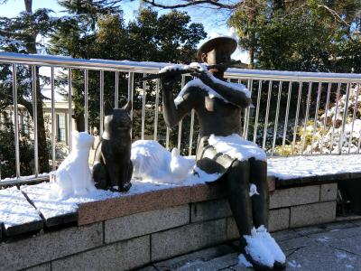 神戸も雪降るんですね♪