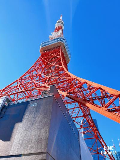 冬休み子連れ東京・ディズニーリゾート①