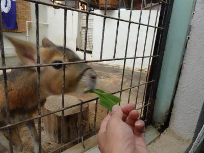 202208 善光寺・草津温泉(3)