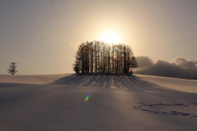 厳寒の丘を彷徨う～冬の絶景を求めて（美瑛）