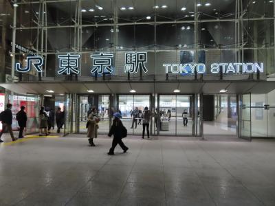 日本に来る家族を妻と東京駅まで迎えに行きました 2023/01/17