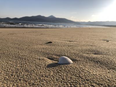 久しぶりの九州旅！1泊2日で福岡と唐津へ　２日目