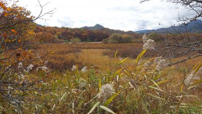 紅葉と秘湯を訪ねて奥栃木へ　９．奥日光戦場ヶ原