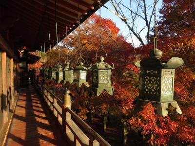 奈良　長谷寺・室生寺・談山神社