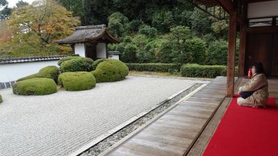 正傳寺の石庭、大岩山の自然破壊を。